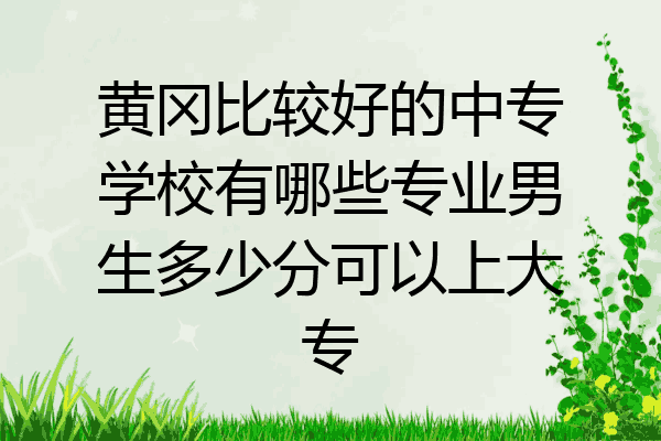 黄冈比较好的中专学校有哪些专业男生多少分可以上大专