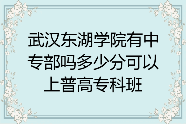 武汉东湖学院有中专部吗多少分可以上普高专科班