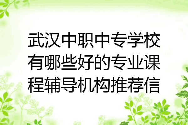 武汉中职中专学校有哪些好的专业课程辅导机构推荐信