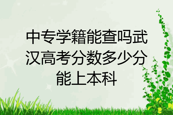 中专学籍能查吗武汉高考分数多少分能上本科