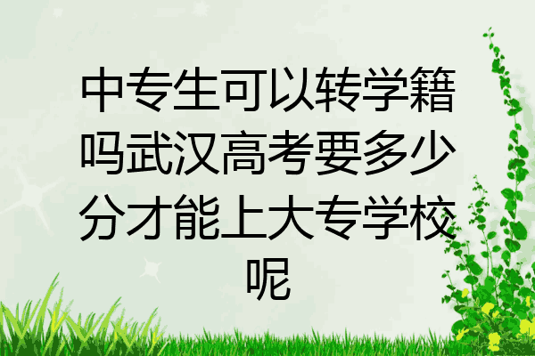 中专生可以转学籍吗武汉高考要多少分才能上大专学校呢