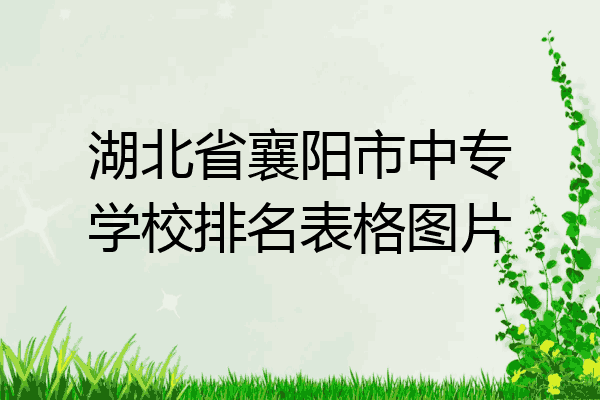 湖北省襄阳市中专学校排名表格图片