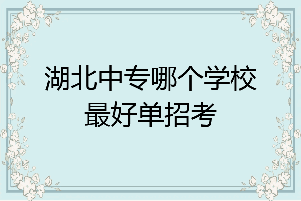 湖北中专哪个学校最好单招考