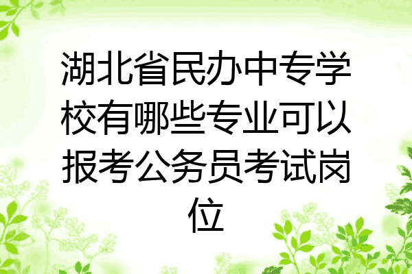 湖北省民办中专学校有哪些专业可以报考公务员考试岗位