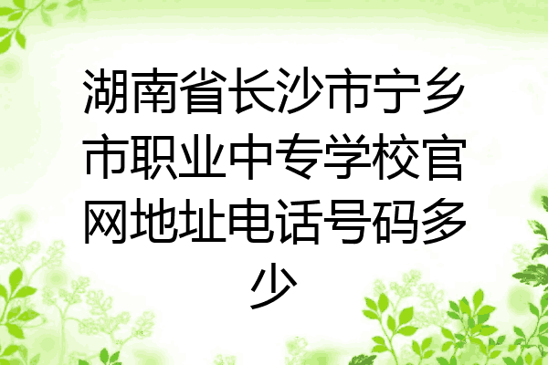 湖南省长沙市宁乡市职业中专学校官网地址电话号码多少