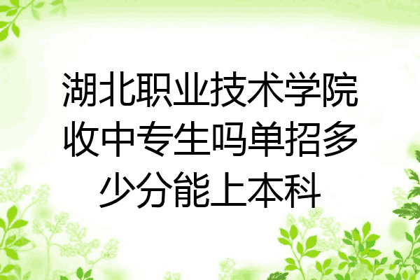 湖北职业技术学院收中专生吗单招多少分能上本科
