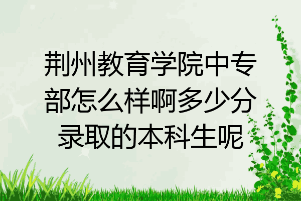 荆州教育学院中专部怎么样啊多少分录取的本科生呢