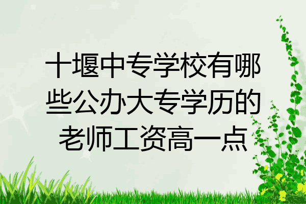 十堰中专学校有哪些公办大专学历的老师工资高一点