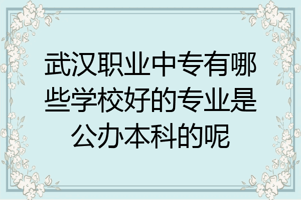 武汉职业中专有哪些学校好的专业是公办本科的呢