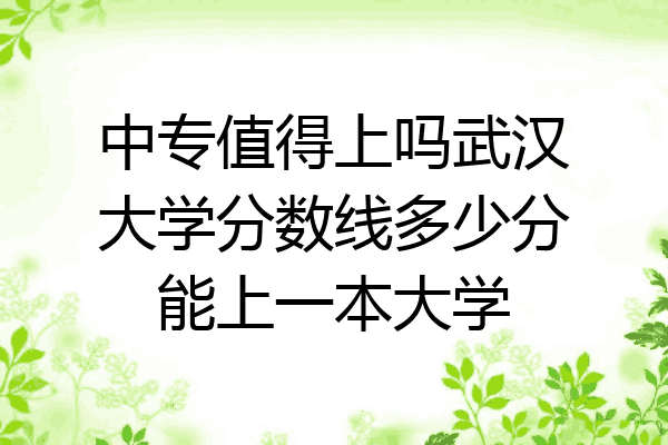 中专值得上吗武汉大学分数线多少分能上一本大学
