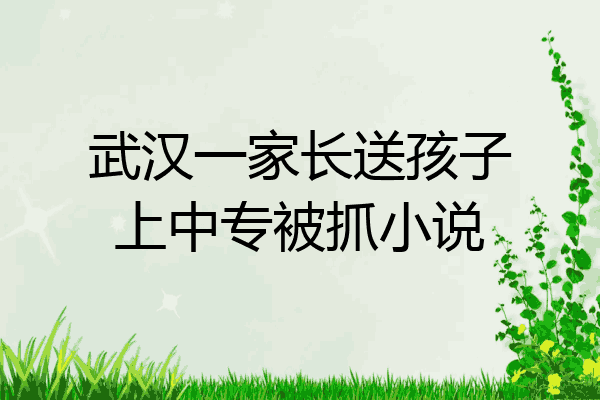 武汉一家长送孩子上中专被抓小说