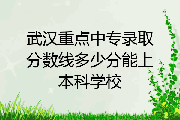 武汉重点中专录取分数线多少分能上本科学校