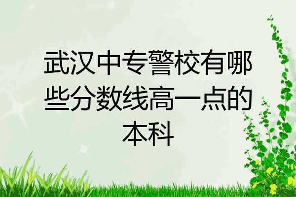 武汉中专警校有哪些分数线高一点的本科