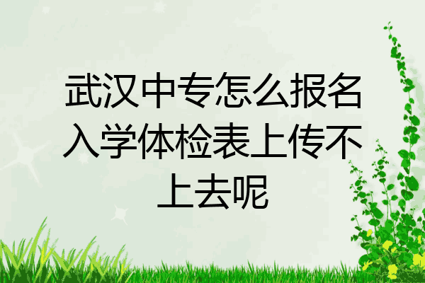 武汉中专怎么报名入学体检表上传不上去呢