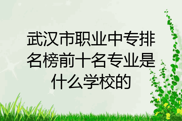 武汉市职业中专排名榜前十名专业是什么学校的