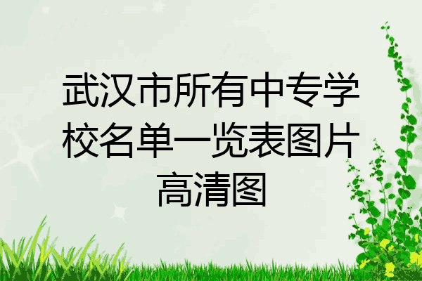 武汉市所有中专学校名单一览表图片高清图