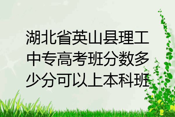 湖北省英山县理工中专高考班分数多少分可以上本科班