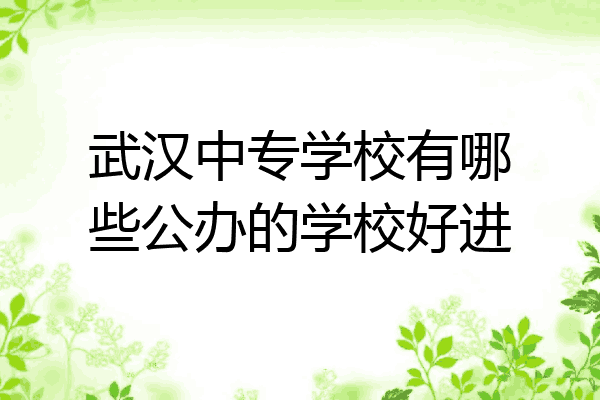 武汉中专学校有哪些公办的学校好进