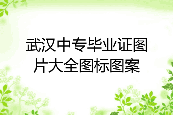 武汉中专毕业证图片大全图标图案