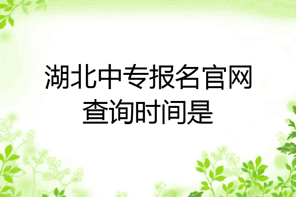 湖北中专报名官网查询时间是