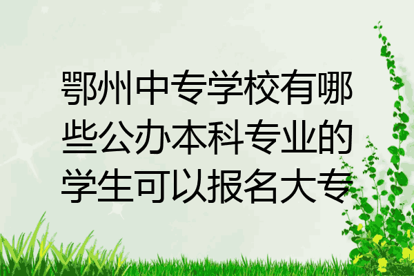 鄂州中专学校有哪些公办本科专业的学生可以报名大专