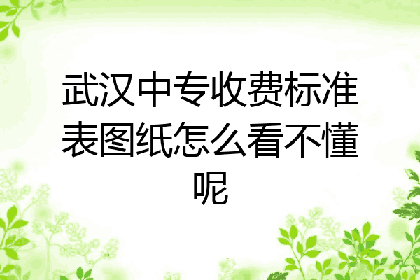 武汉中专收费标准表图纸怎么看不懂呢