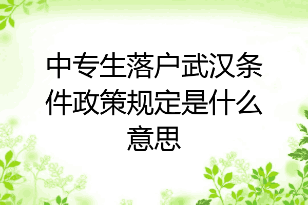中专生落户武汉条件政策规定是什么意思