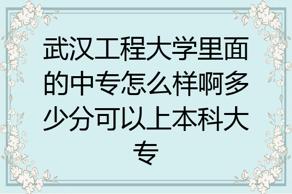 武汉工程大学里面的中专怎么样啊多少分可以上本科大专
