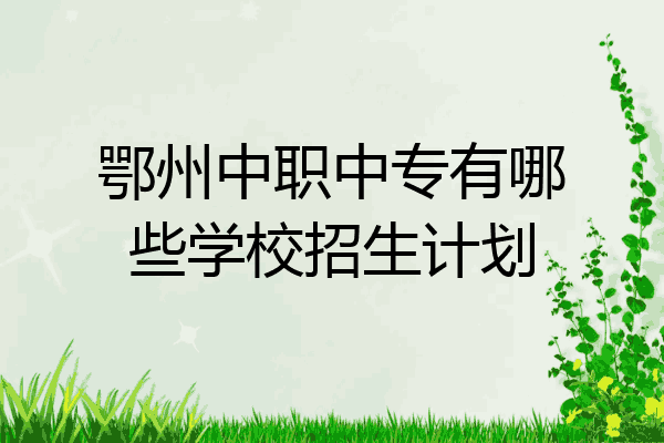 鄂州中职中专有哪些学校招生计划