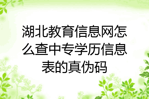 湖北教育信息网怎么查中专学历信息表的真伪码