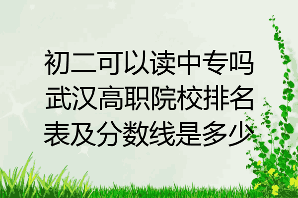 初二可以读中专吗武汉高职院校排名表及分数线是多少