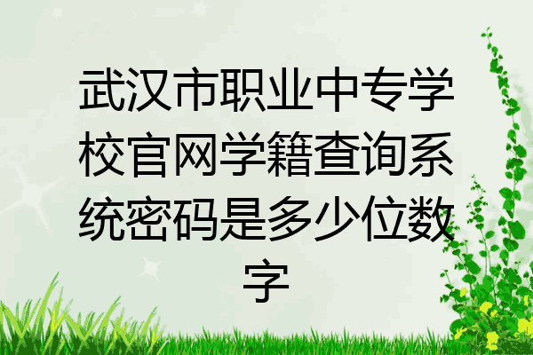 武汉市职业中专学校官网学籍查询系统密码是多少位数字