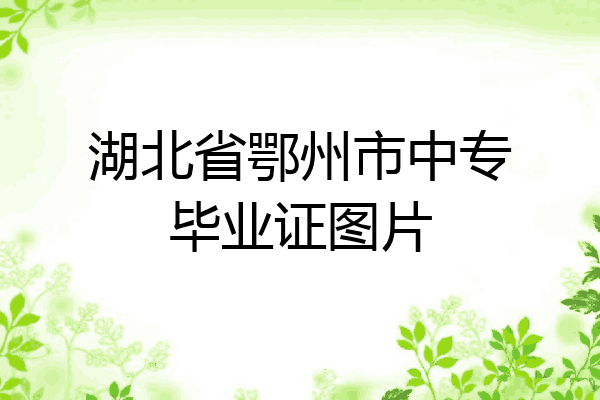 湖北省鄂州市中专毕业证图片