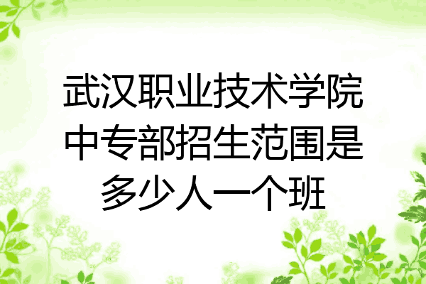 武汉职业技术学院中专部招生范围是多少人一个班