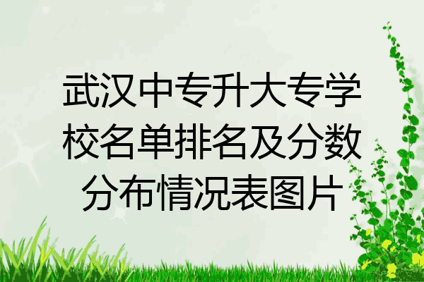 武汉中专升大专学校名单排名及分数分布情况表图片