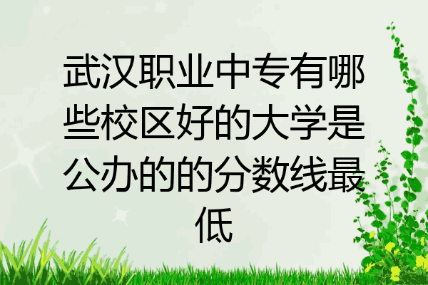 武汉职业中专有哪些校区好的大学是公办的的分数线最低