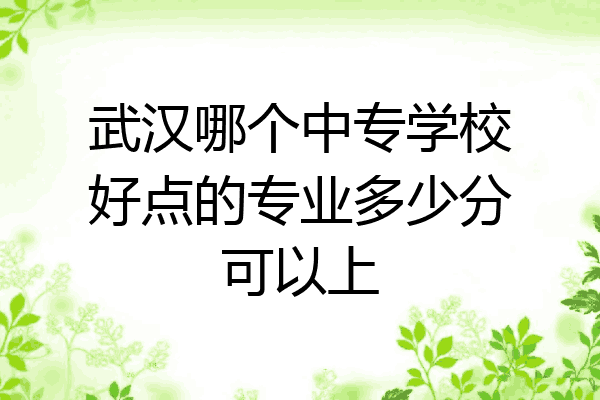 武汉哪个中专学校好点的专业多少分可以上
