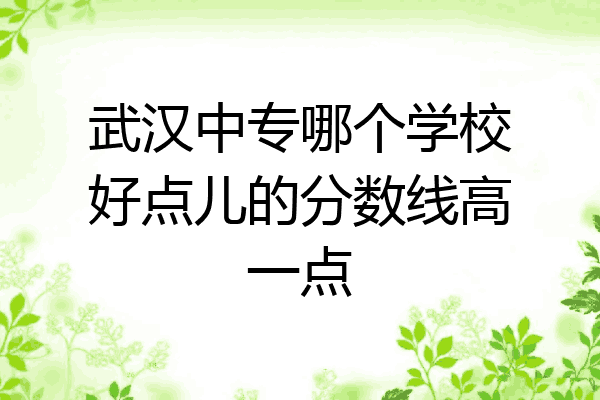 武汉中专哪个学校好点儿的分数线高一点