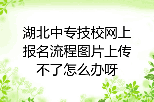 湖北中专技校网上报名流程图片上传不了怎么办呀