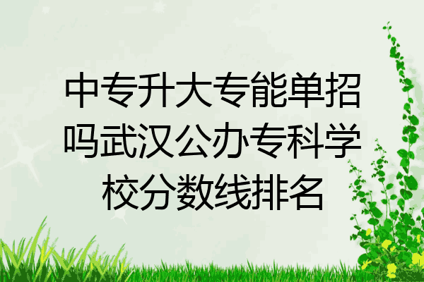 中专升大专能单招吗武汉公办专科学校分数线排名
