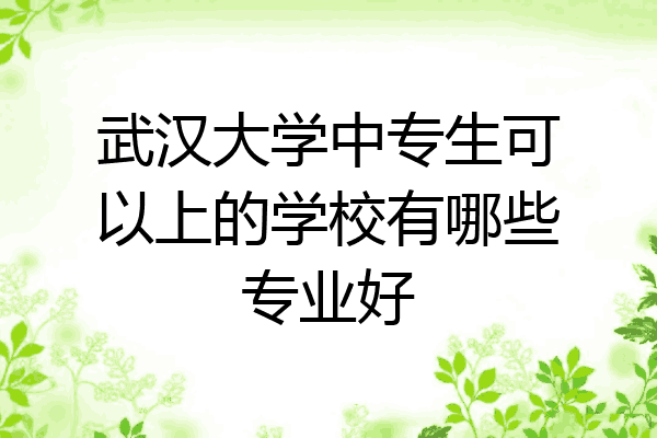 武汉大学中专生可以上的学校有哪些专业好