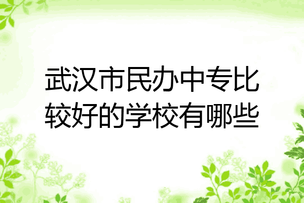 武汉市民办中专比较好的学校有哪些