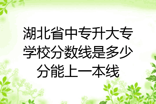 湖北省中专升大专学校分数线是多少分能上一本线