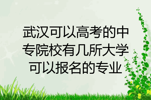 武汉可以高考的中专院校有几所大学可以报名的专业