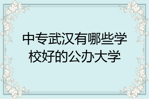 中专武汉有哪些学校好的公办大学