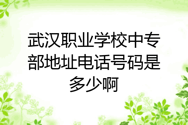 武汉职业学校中专部地址电话号码是多少啊