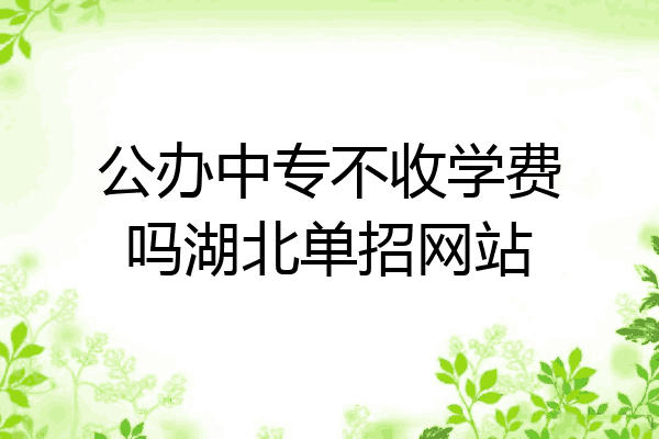 公办中专不收学费吗湖北单招网站