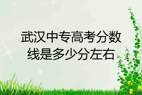 武汉中专高考分数线是多少分左右