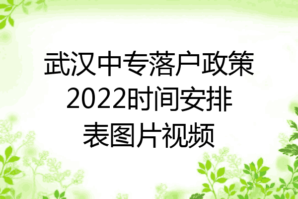 武汉中专落户政策2022时间安排表图片视频