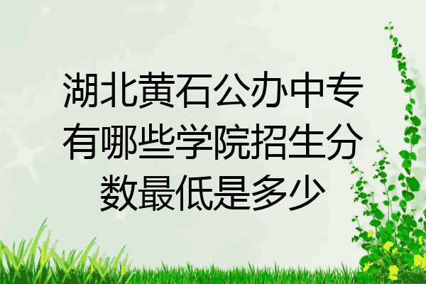 湖北黄石公办中专有哪些学院招生分数最低是多少